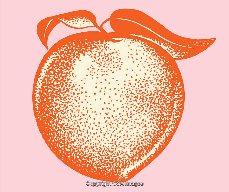 Vintage Peach Illustration on Pink Background with Vibrant Colors
