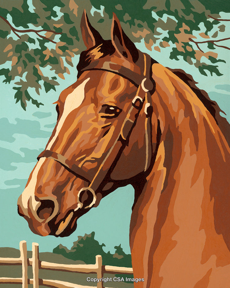 Paint By Number Illustration of a Horse in a Serene Rural Setting
