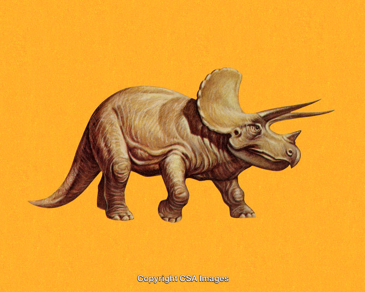 Illustration of Triceratops Dinosaur on a Vibrant Orange Background