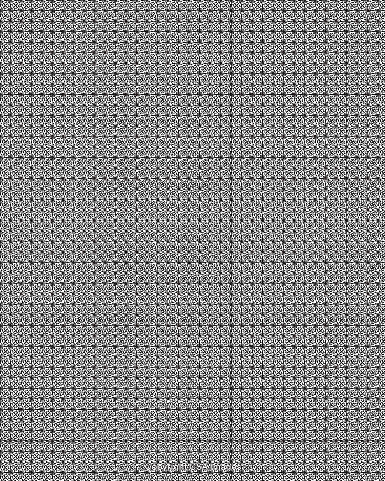 Abstract Black and White Patterned Background with Intricate Symmetrical Designs