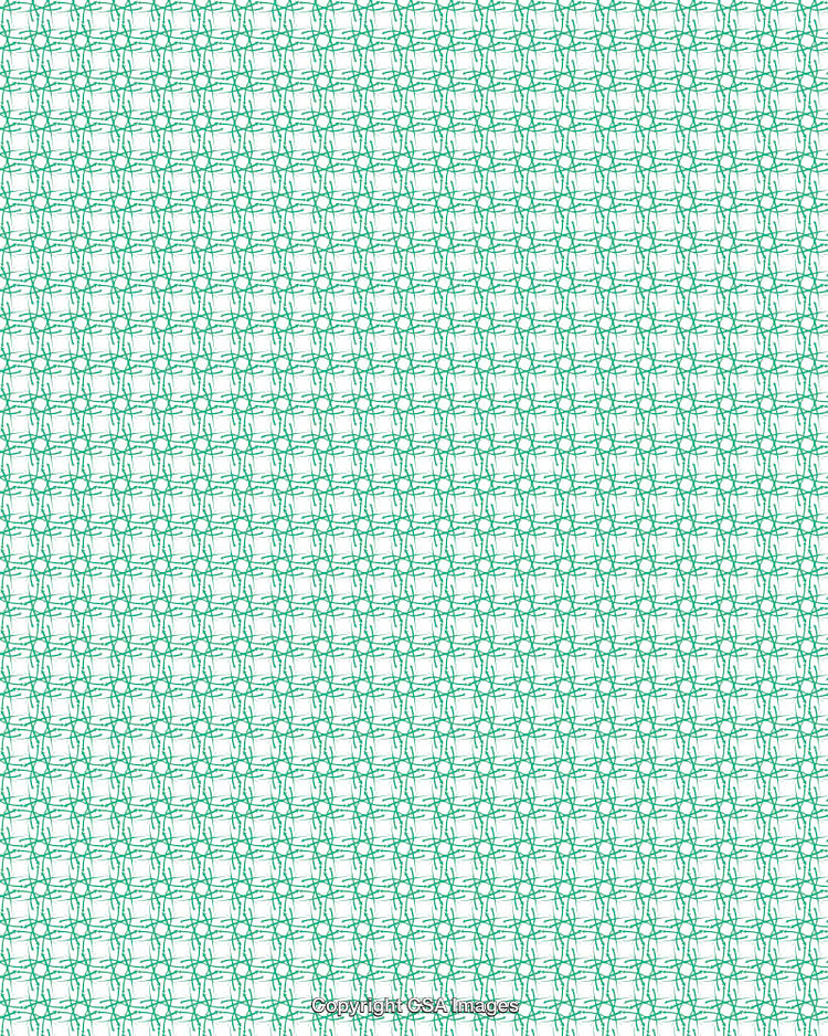 Green Line Pattern on a Clean White Background