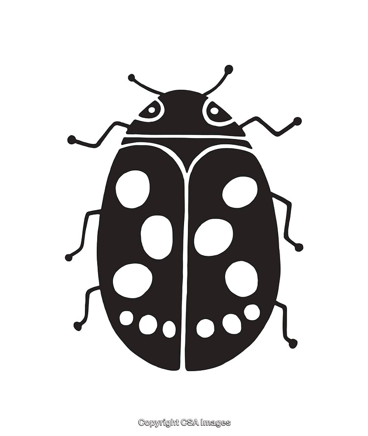 Black and White Ladybug Line Art Illustration on a White Background