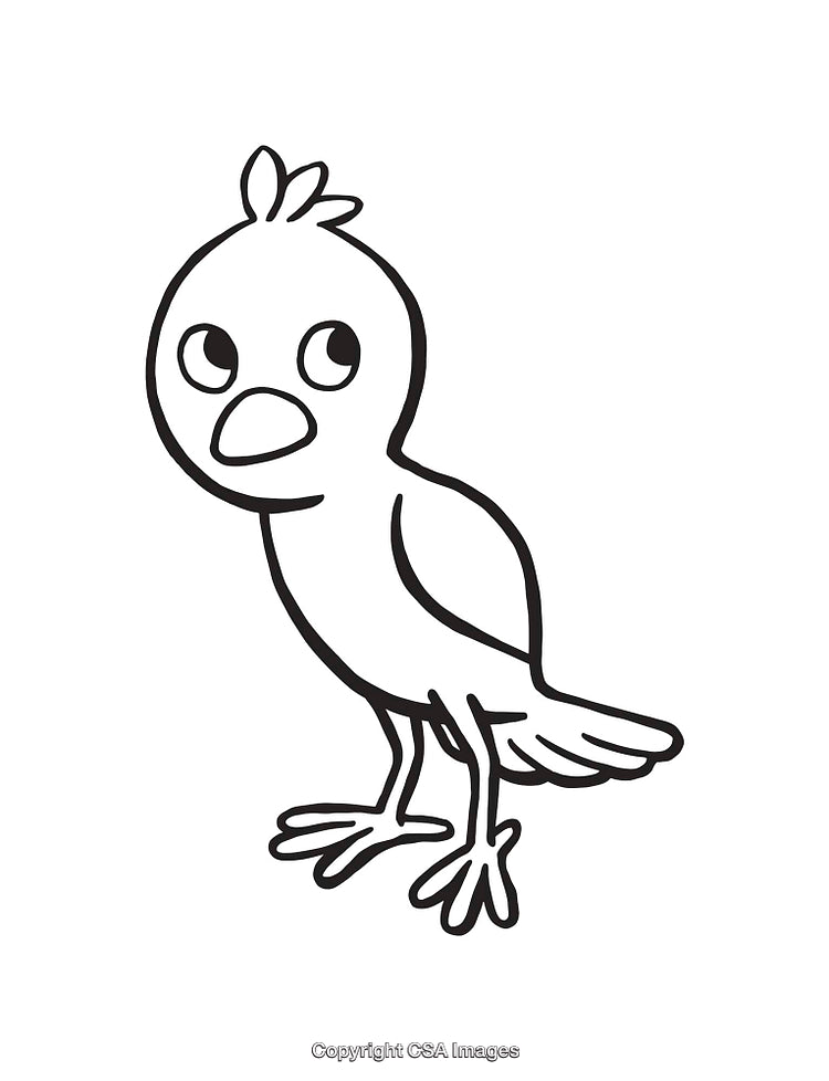 Black and White Line Art Illustration of a Cute Cartoon Bird