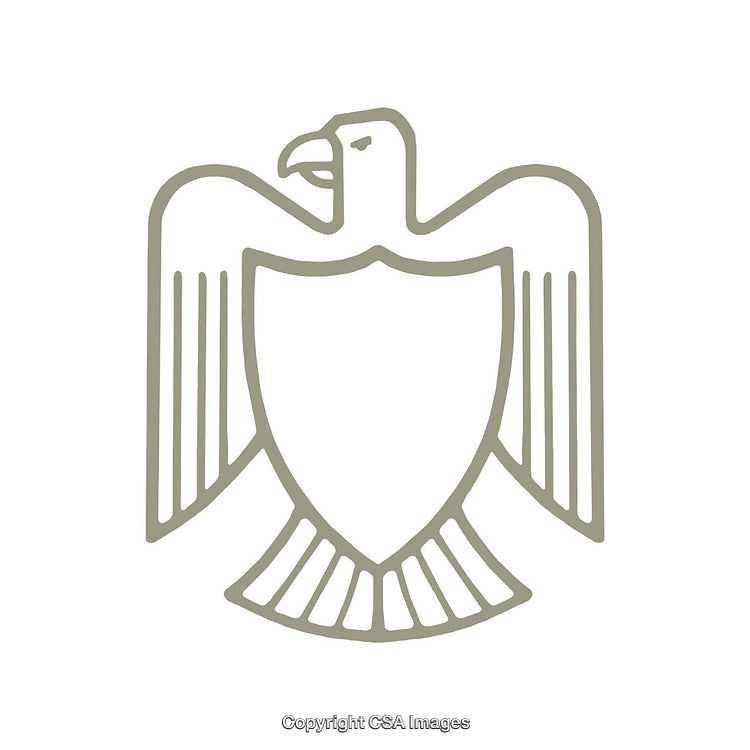 Minimalist Illustration of an Eagle with Shield Symbol Design
