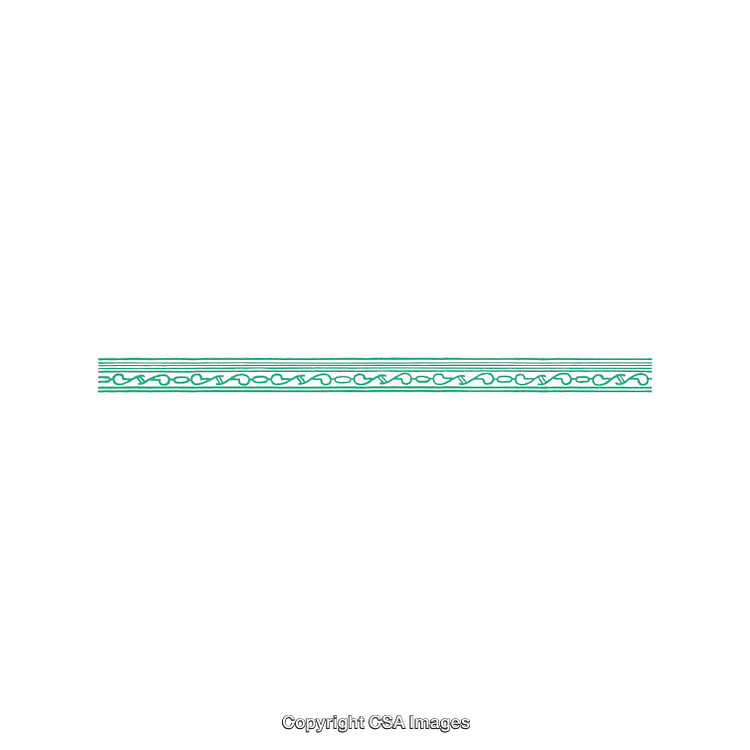 Green Ornamental Line Pattern on a White Background