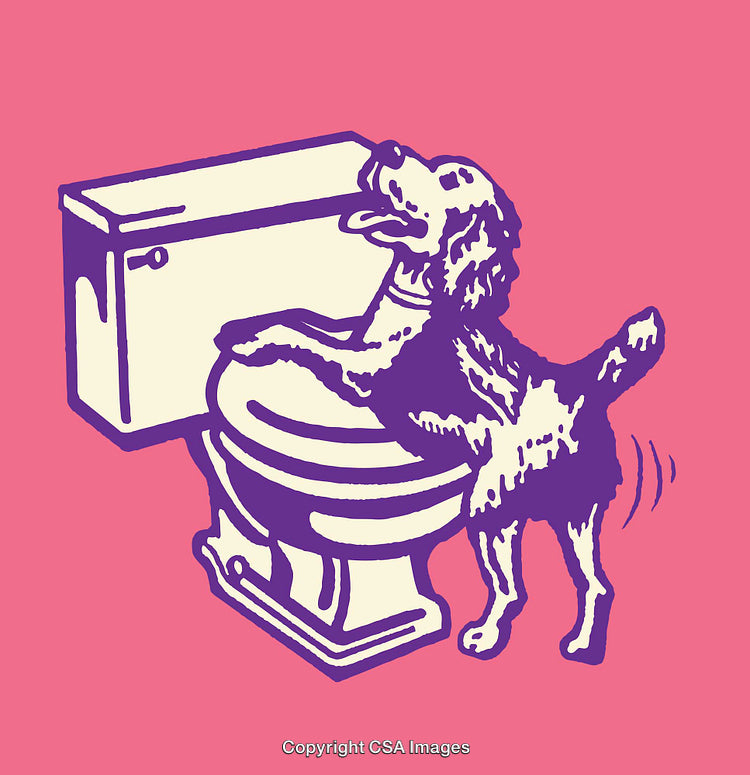 Playful Cartoon Illustration of a Dog by a Toilet in Bold Colors