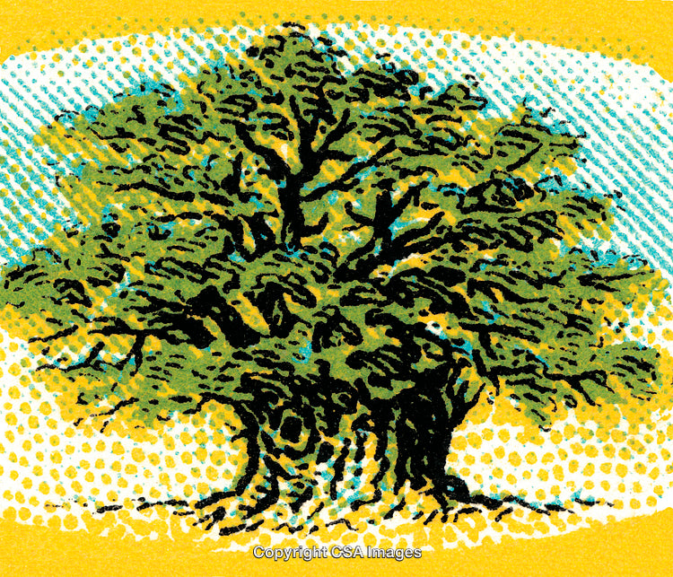 Hand-Drawn Tree Illustration with Textured Vintage Aesthetic in Bright Colors