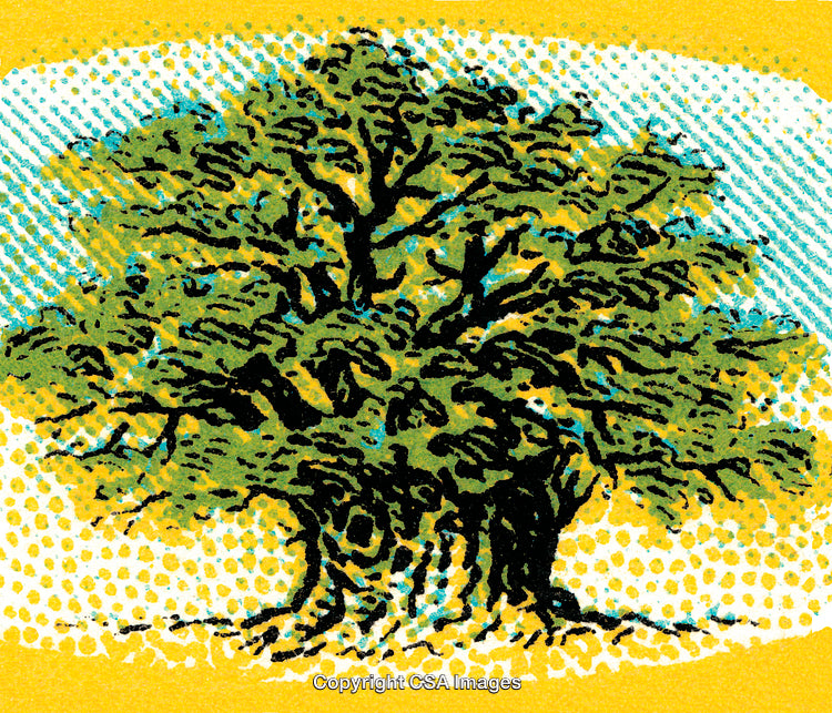 Hand-Drawn Tree Illustration with Textured Vintage Aesthetic in Bright Colors