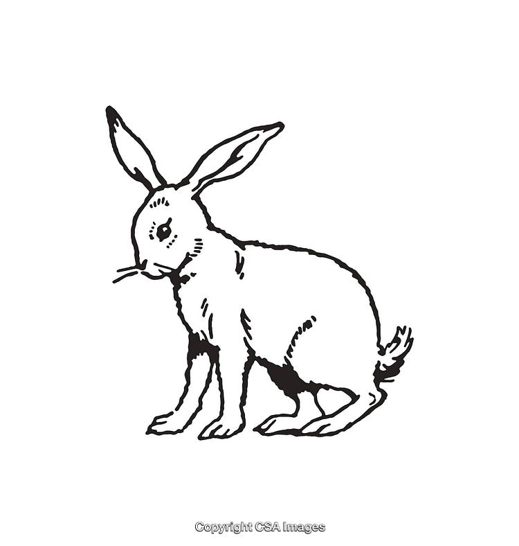 Black and White Line Art Illustration of a Rabbit