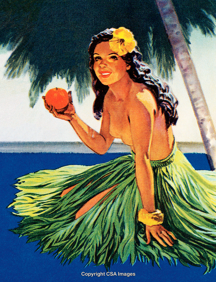 Tropical Hula Dancer Illustration with Vibrant Colors and Exotic Setting