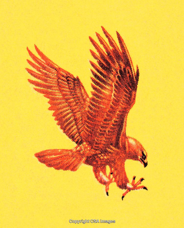Illustrated Hawk in Mid-Flight on a Bright Yellow Background