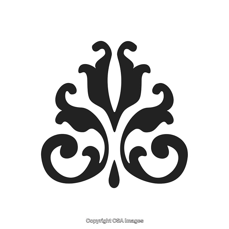 Elegantly Designed Black And White Ornamental Decorative Vintage Pattern Illustration