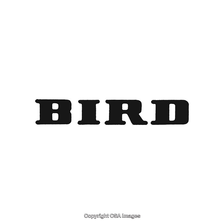Bold Western-Style Typography Featuring the Word 'Bird' on a Plain Background
