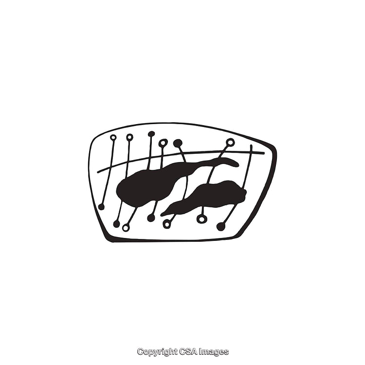 Abstract Black and White Dingbat with Organic and Geometrical Patterns