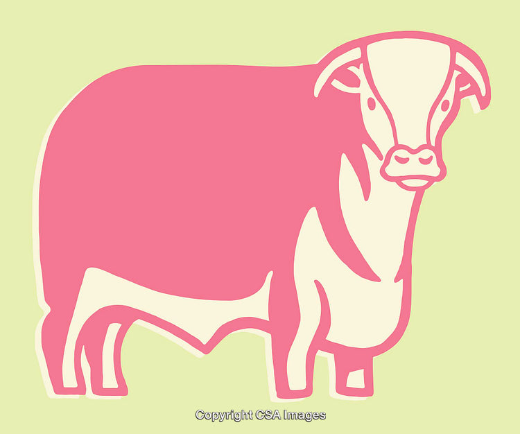 Colorful Line Art Illustration of a Cow on a Green Background