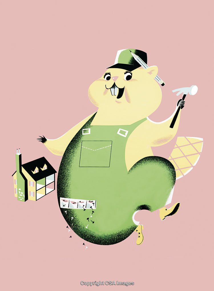 Illustration of Cartoon Beaver Construction Worker with Tools and a Building