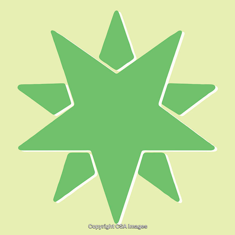Green Stylized Starburst Shape on Light Background