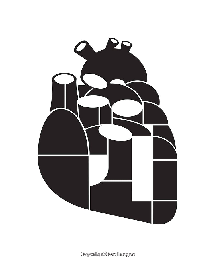 Abstract Geometric Line Art Illustrating a Human Heart in Black and White