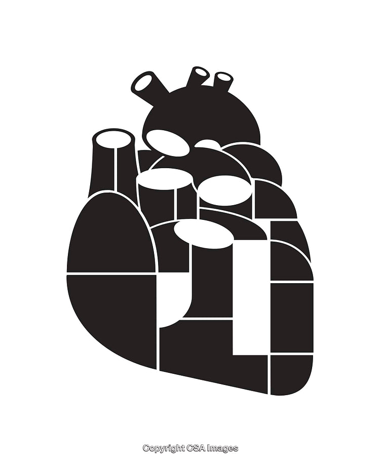 Abstract Geometric Line Art Illustrating a Human Heart in Black and White