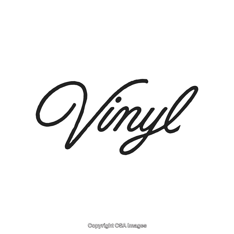 Elegant Black 'Vinyl' Calligraphy in Minimalist Styled Typography on White Background