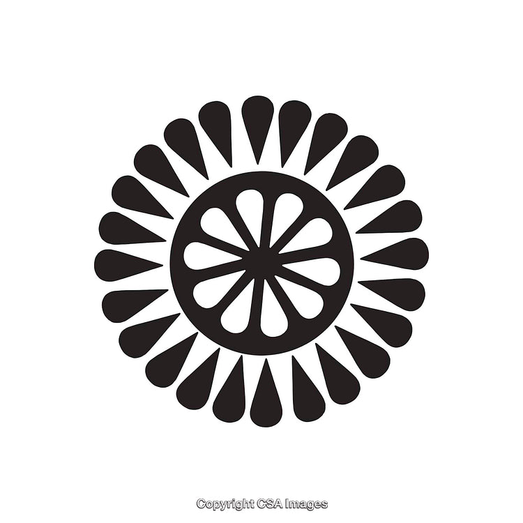 Black and White Abstract Dingbat in Circular Decorative Design