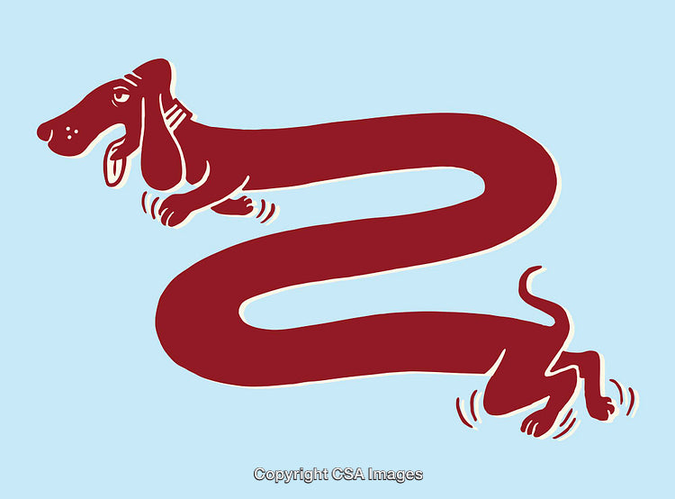 Whimsical Illustration of a Long Dog in Playful Red Line Art