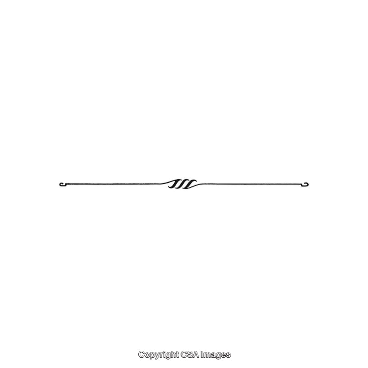 Ornamental Black and White Decorative Design Element with Intricate Line Swirl