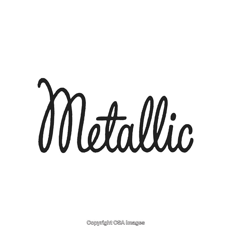 Elegant Handwritten Metallic Typography Logo on Plain White Background