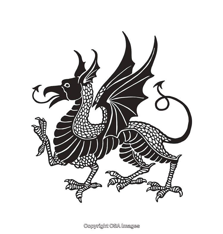 Black and White Line Art Illustration of a Winged Mythical Creature