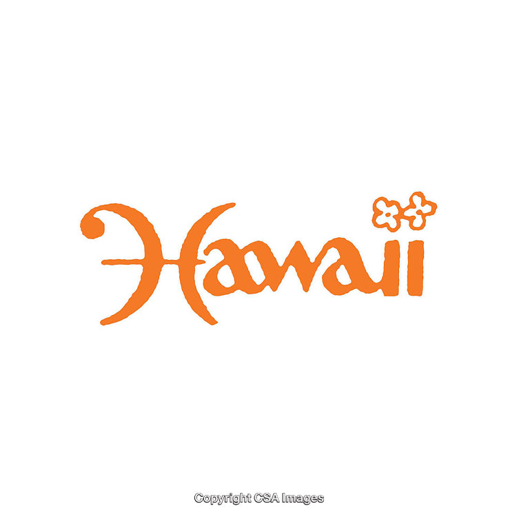 Bold Typography Logo Design Featuring Hawaiian Theme and Floral Elements