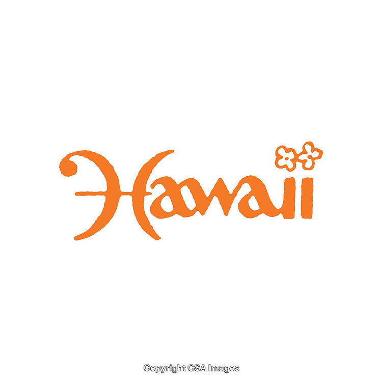 Bold Typography Logo Design Featuring Hawaiian Theme and Floral Elements