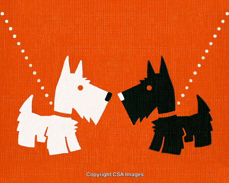 Stylized Illustration of Two Contrasting Scottie Dogs on Orange Background