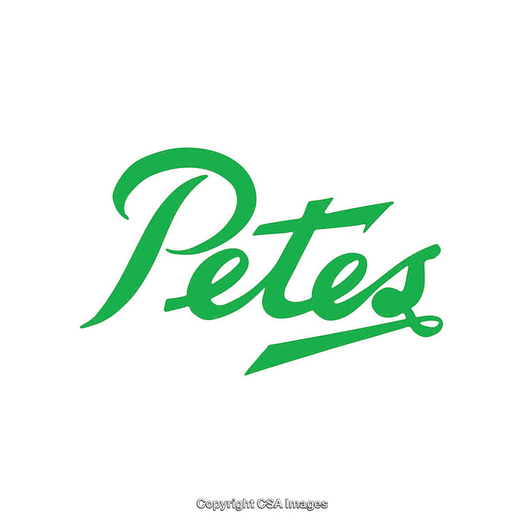 Green Stylish Typography Featuring the Word 'Pete's' on White Background