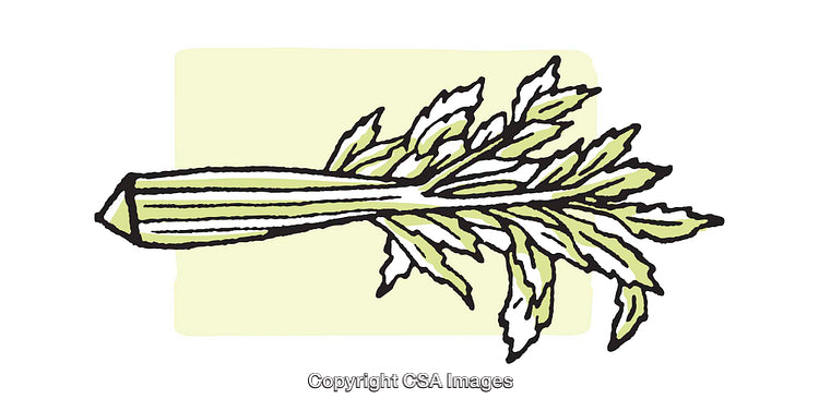 Illustration of a Celery Stick with Leaves in Artistic Style