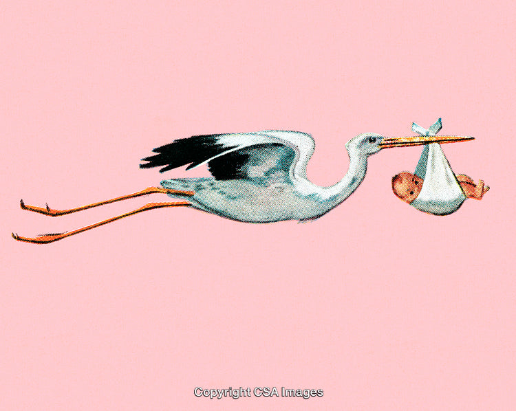 Vintage Illustration of a Flying Stork Carrying a Newborn Baby
