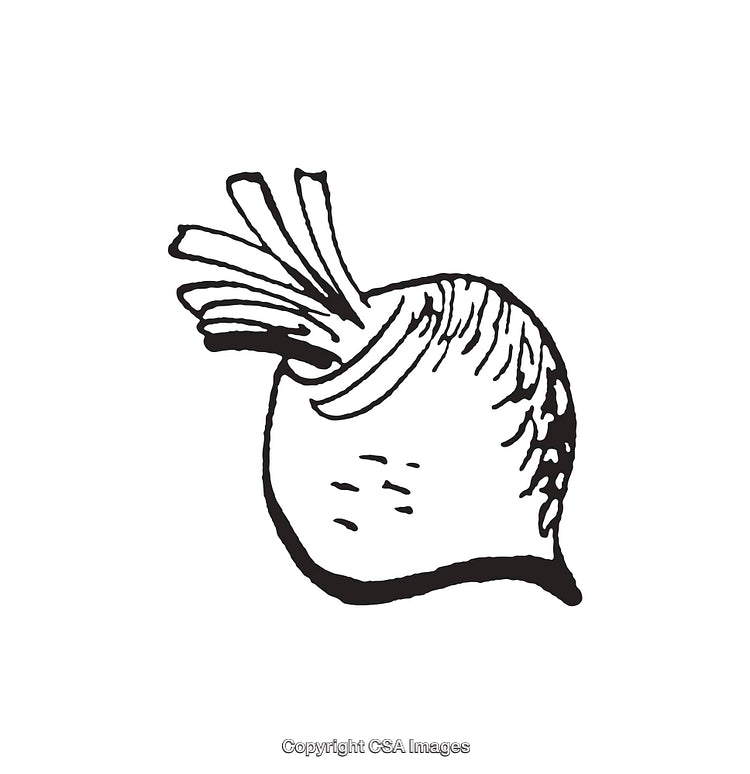Black And White Line Art Illustration of a Root Vegetable