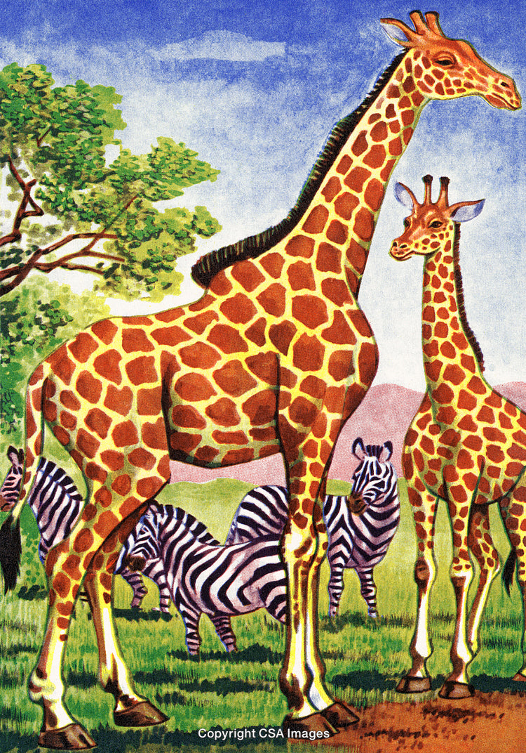 Illustrated Giraffes and Zebras in African Grassland Landscape