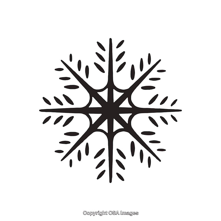 Geometric Black Snowflake Design With Intricate Patterns on White Background