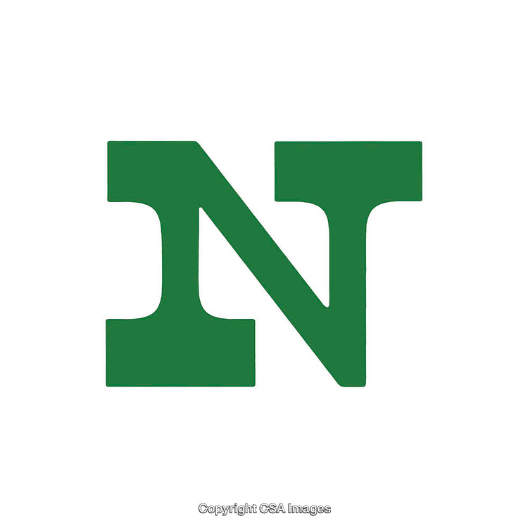 Green Letter N on a White Background with Bold Typeface Design