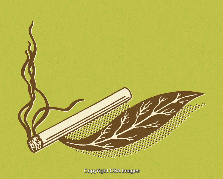 Artistic Tobacco Leaf and Smoking Illustration on Green Background