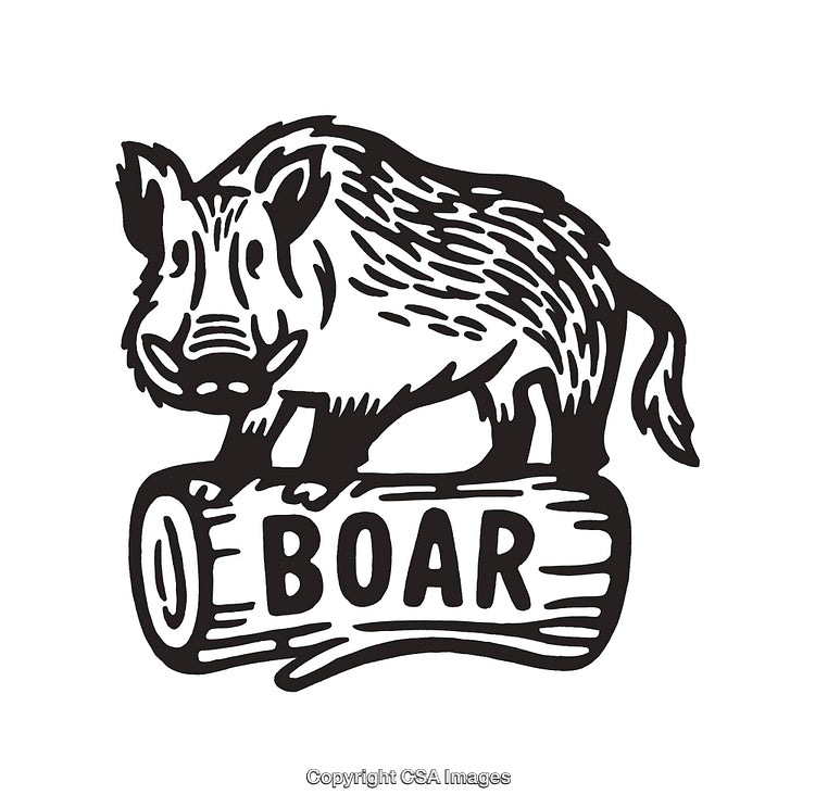 Wild Boar Black and White Line Art Illustration on Log