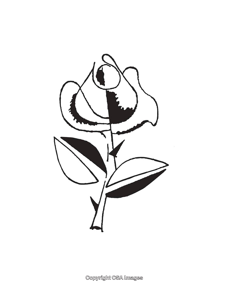 Minimalistic Black and White Line Art Rose Illustration with Leaves