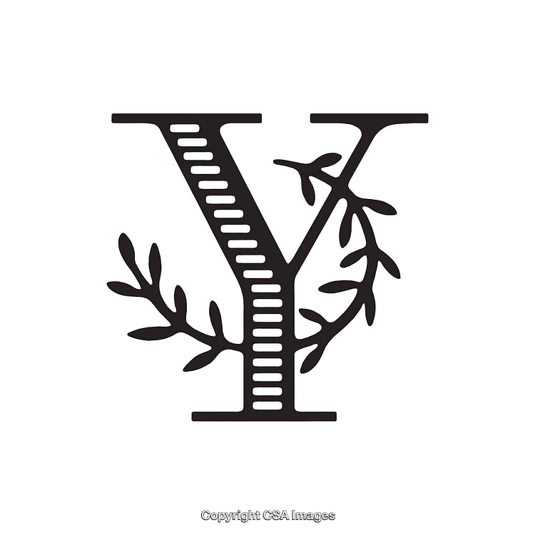 Elegant Letter Y With Decorative Leaf Accents and Classic Style
