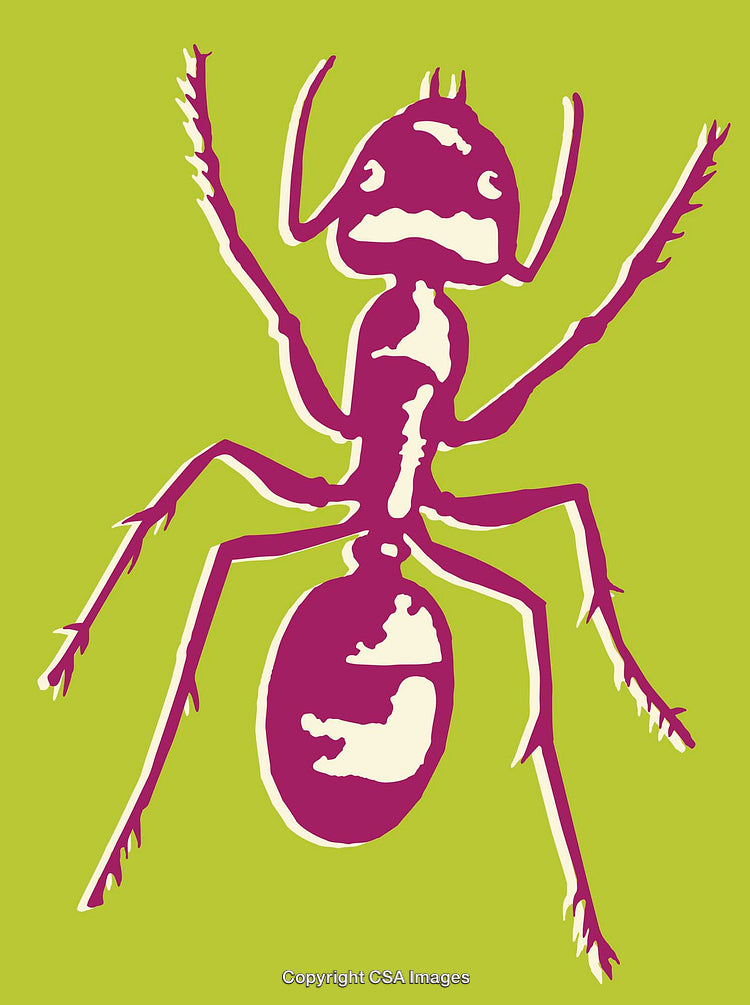 Colorful Artistic Illustration of a Stylized Ant on Green Background