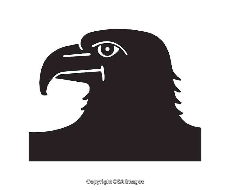 Black and White Line Art Illustration of Hawk Head Silhouette