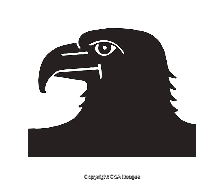 Black and White Line Art Illustration of Hawk Head Silhouette
