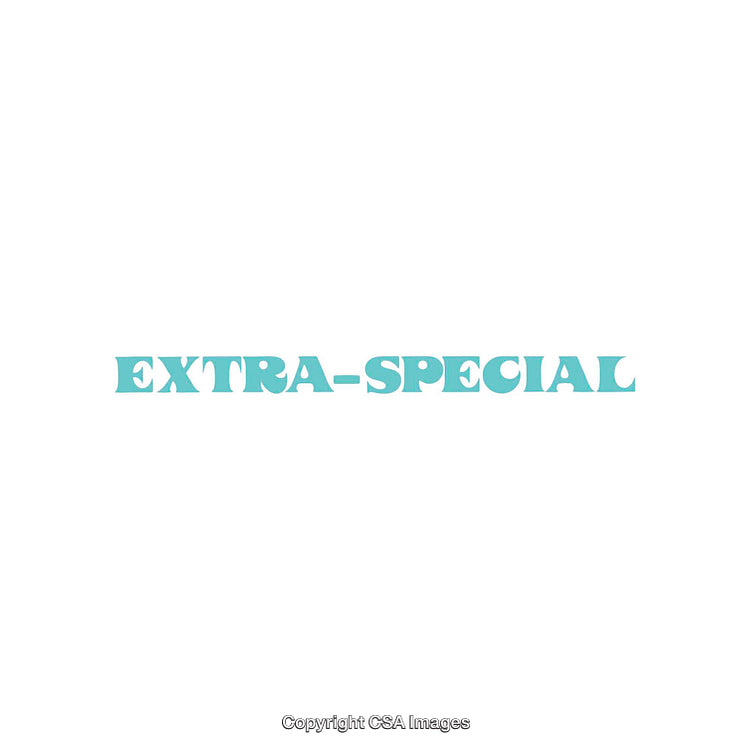 Stylized Turquoise Text Display Reading 'Extra-Special' on White Background