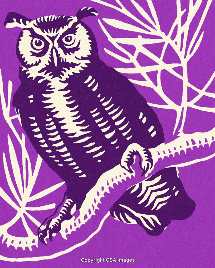 Illustrated Great Horned Owl Perched on a Branch in Purple Abstract Artwork
