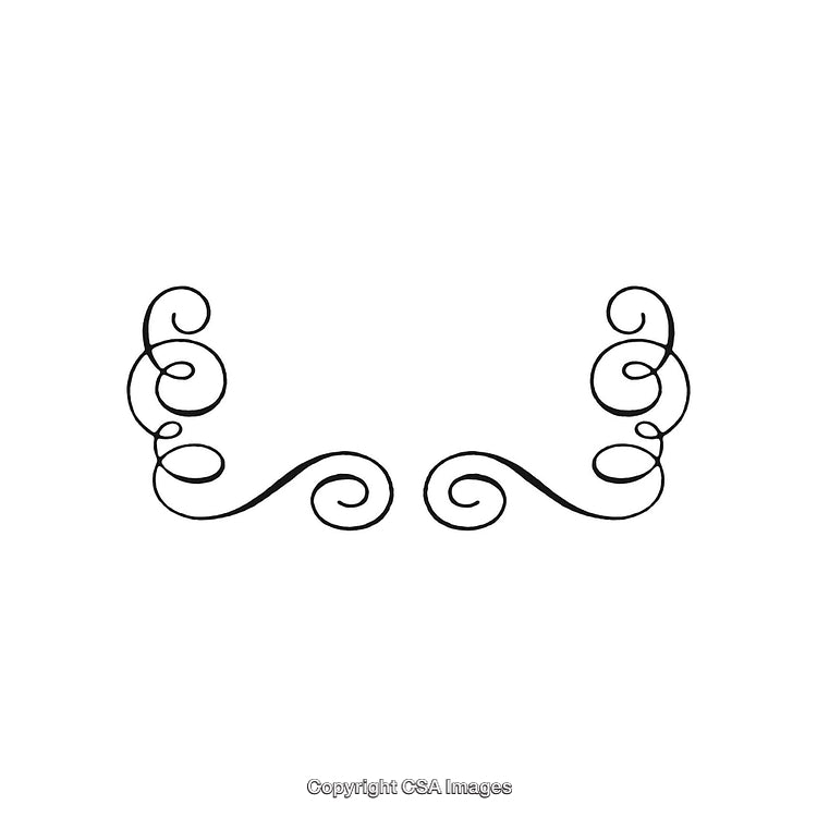 Elegant Black and White Decorative Ornamental Design with Swirls