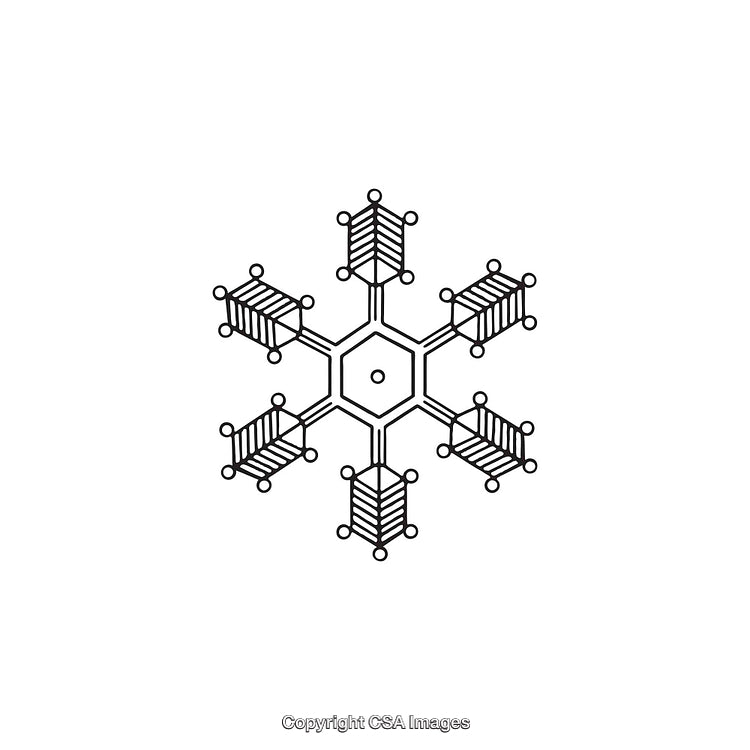 Black and White Abstract Snowflake Styled in Dingbat Format
